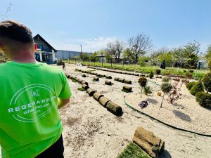 Amenajare gradina 100 mp inclus sistem irigatie si rulou gazon